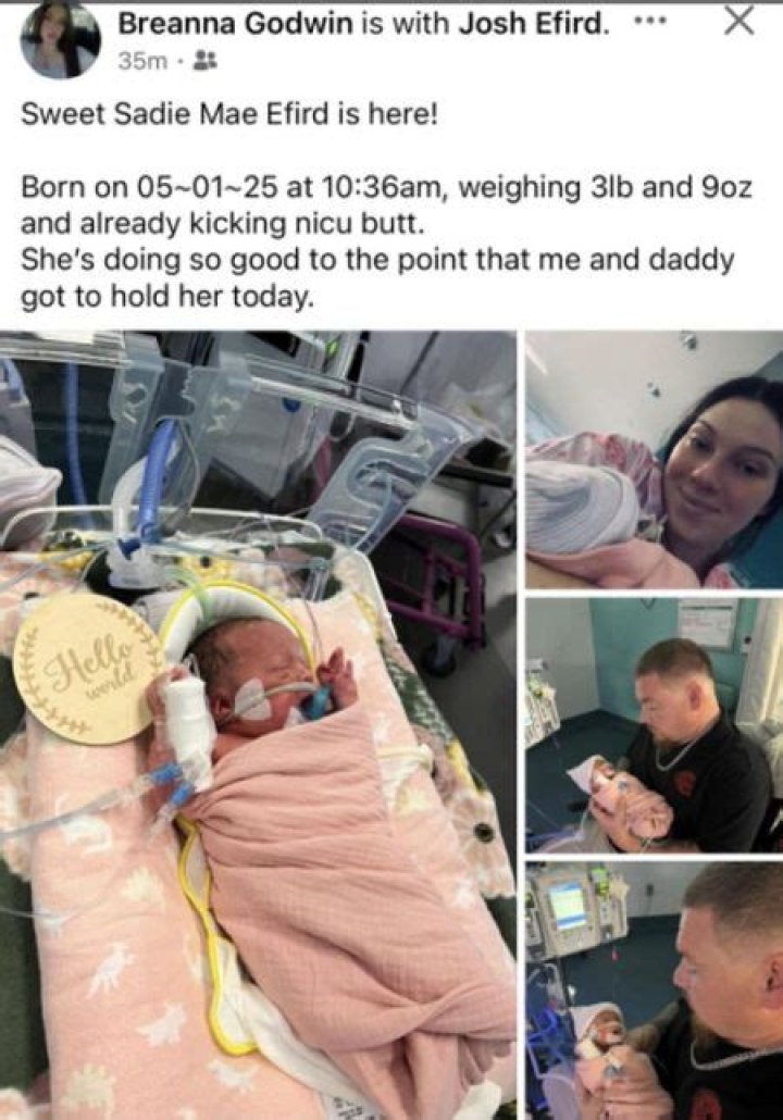 Joshua Efird Age, Height, Wikipedia, Pumpkin Shannon Husband