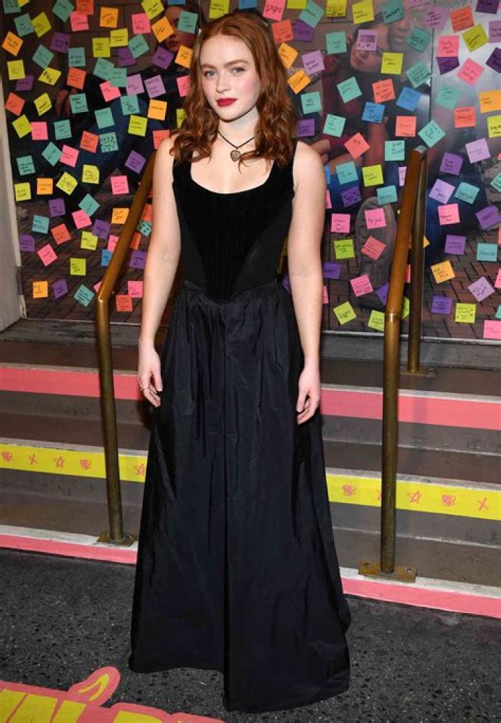 Who is Spencer Sink? Know about Sadie Sink’s brother